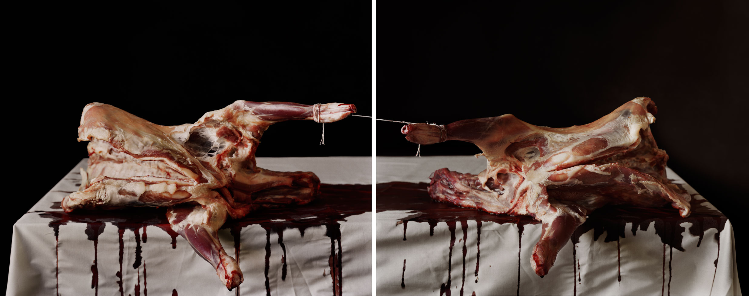 Untitled No. 5 (from the series 'Impulses'), 2012