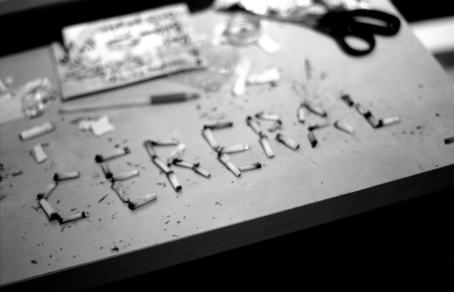 Roaches 

Montreal, 2010
From 'Don't Tell Me What to Do', a photo essay on Cerebral Ballzy. Taken after the 'Weed Olympics'