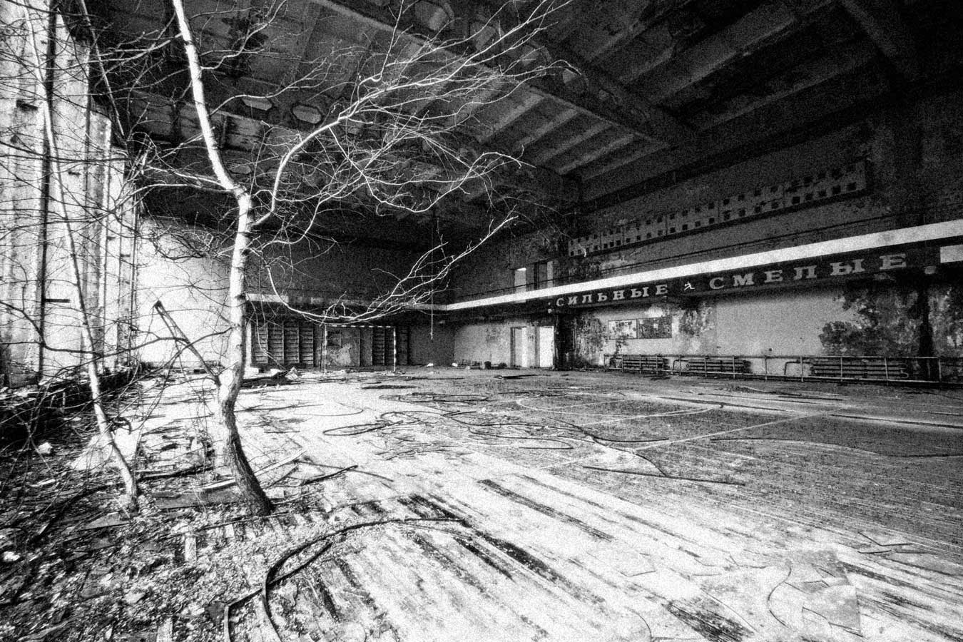 On the return journey, the tree whose leaves had inspired this collection had fallen, and it stood bare against the equally bare sports hall. The image, still powerful but in an all together different way, shows less the continuation of life but magnifies the feeling of a cold winter.