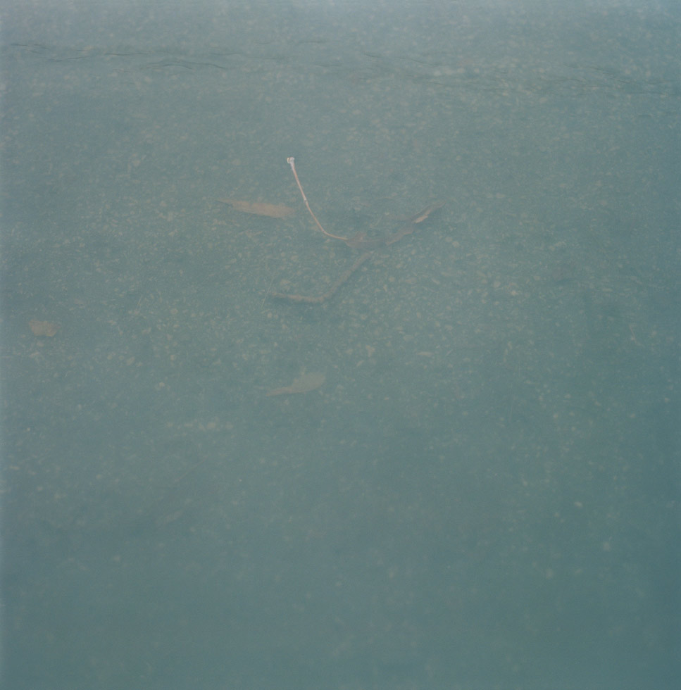 Water
Surface 31
2006