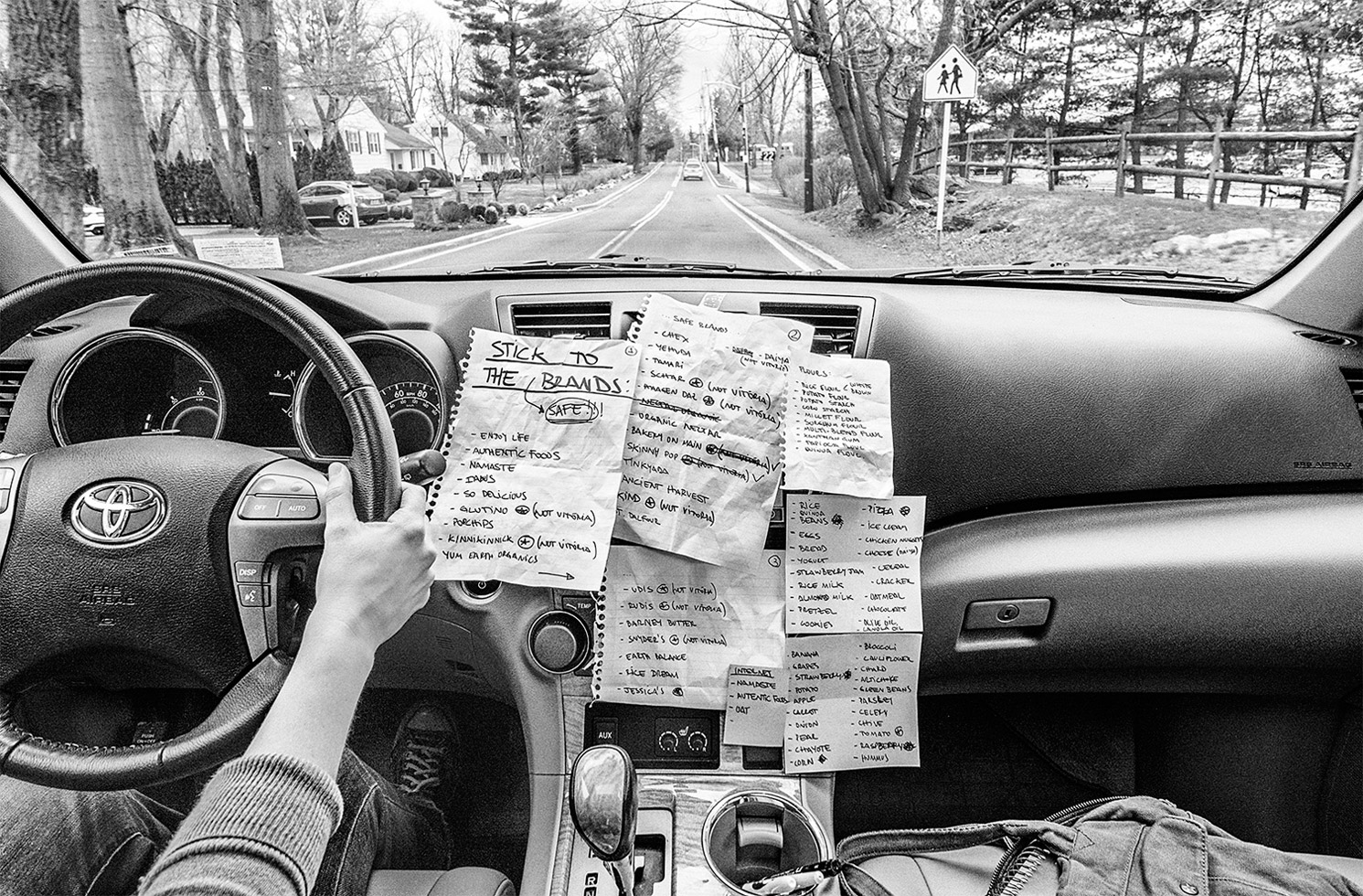 From the series: Sandra Bacchi: Watermelons Are Not Strawberries