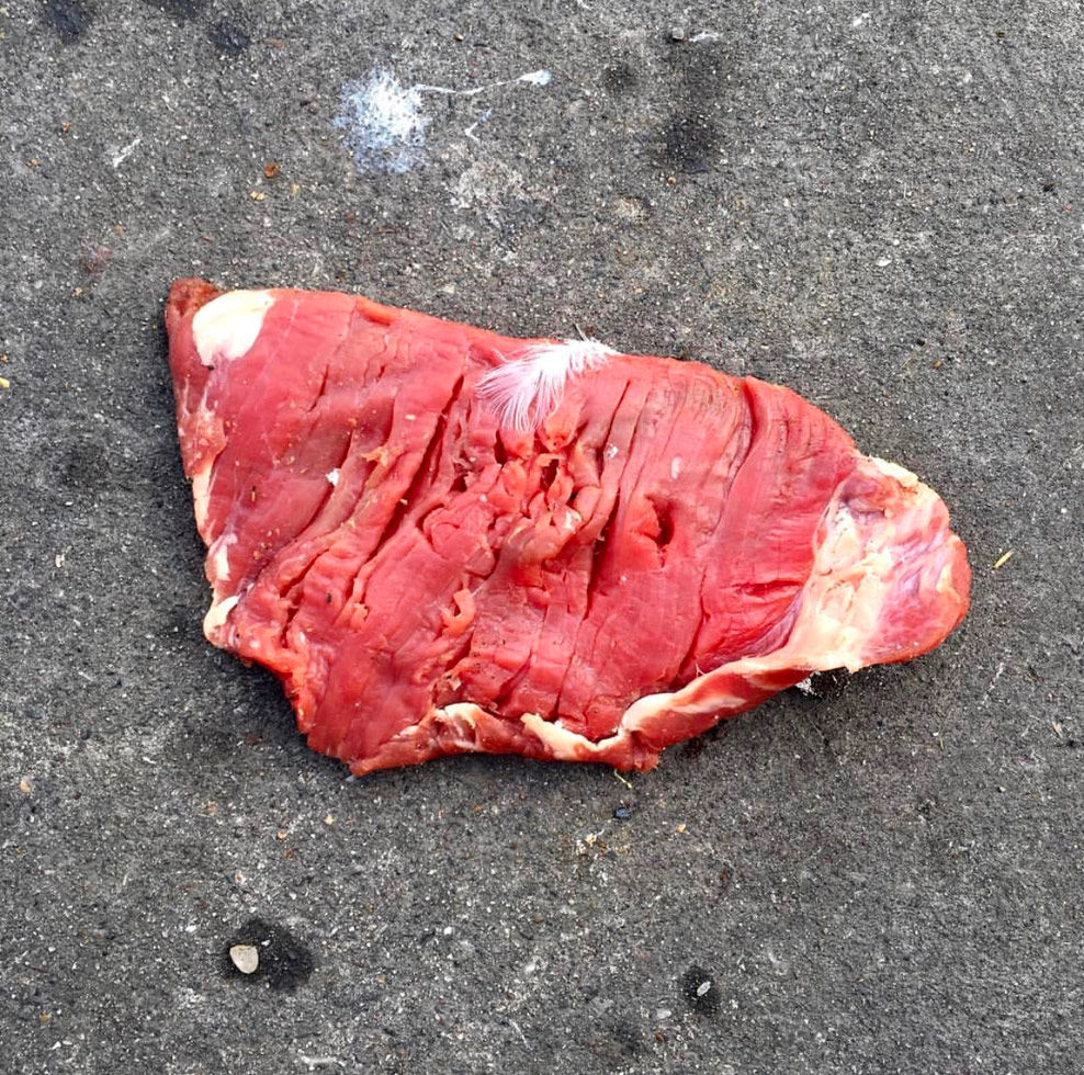 Meat