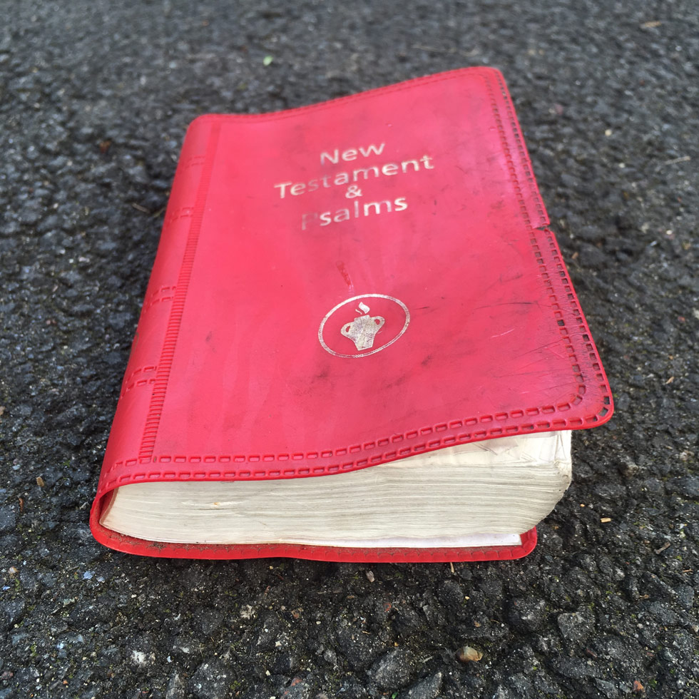 New Testament and Psalms