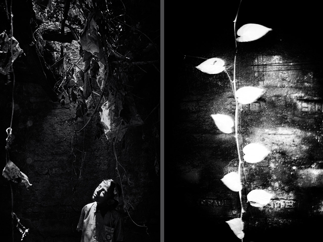 From the series: Debiprasad Mukherjee: Sound of Silence