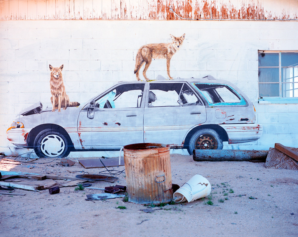 From the series: Rob Hann: Last Chance Texaco