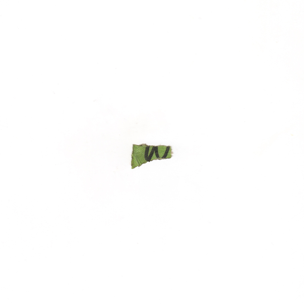 From the series: Jason Lazarus: Webcams