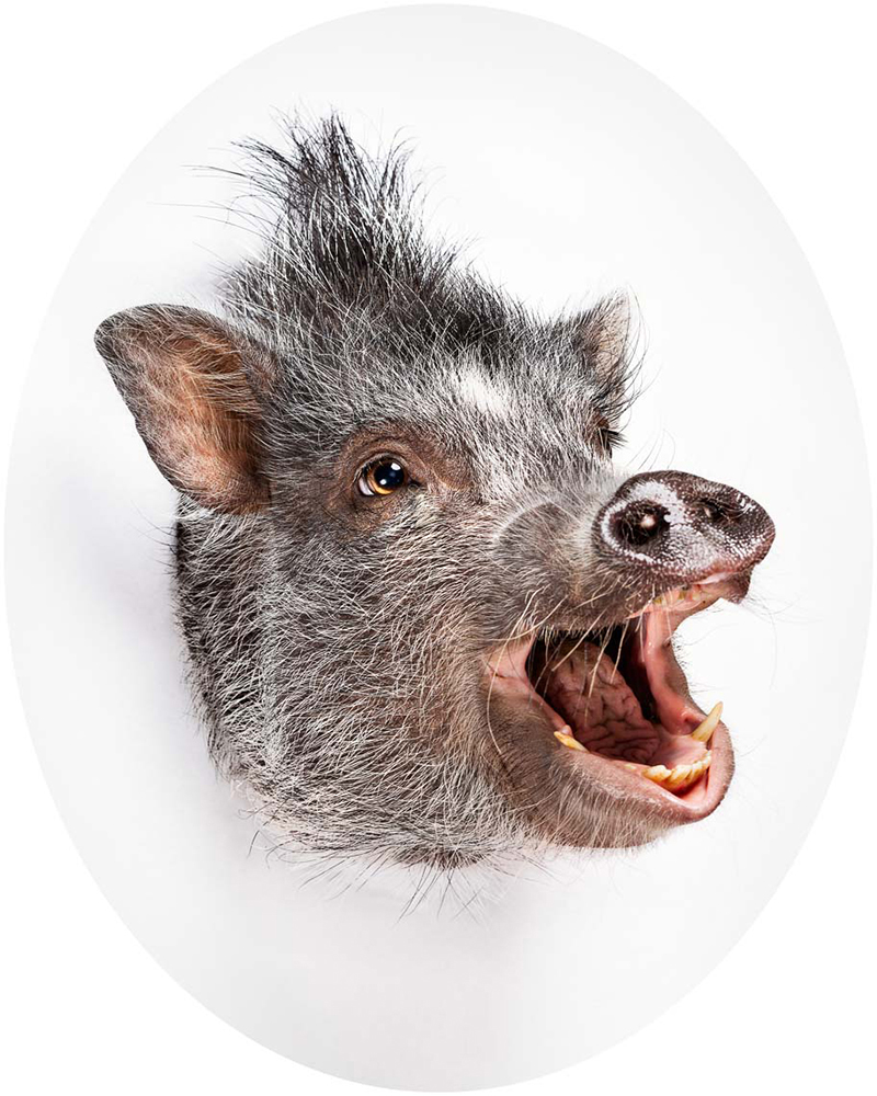 From the series: The Light Factory