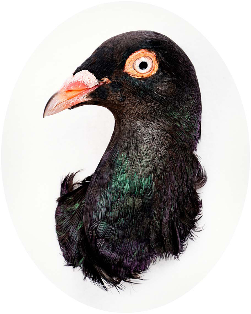 From the series: The Light Factory