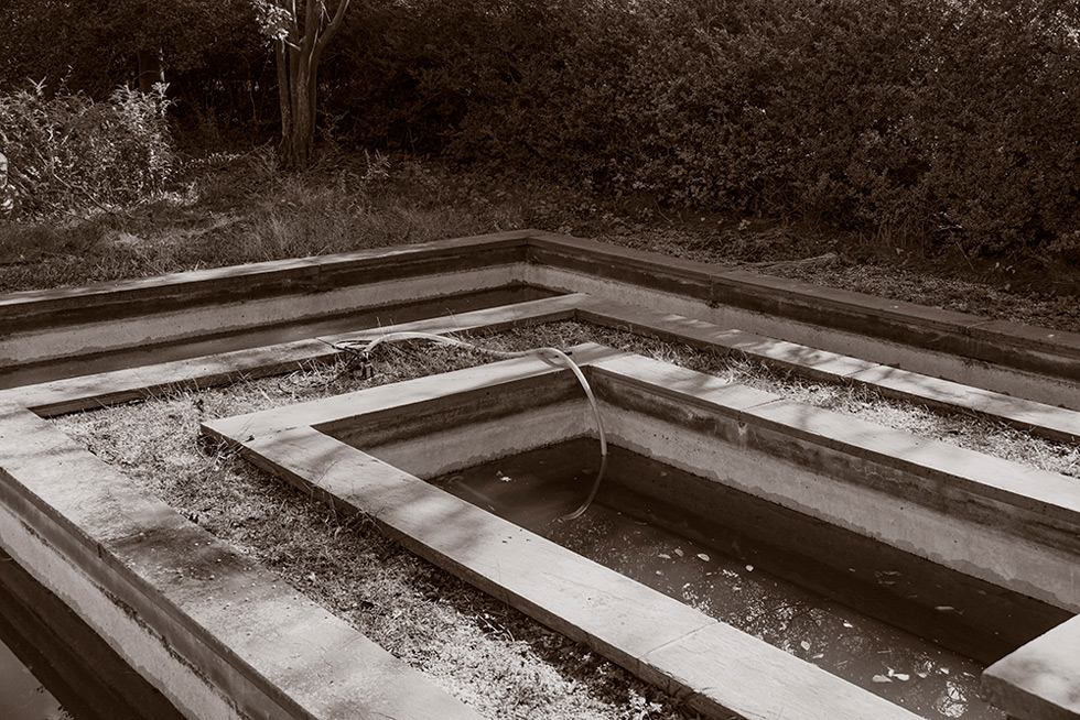 A decorative pool