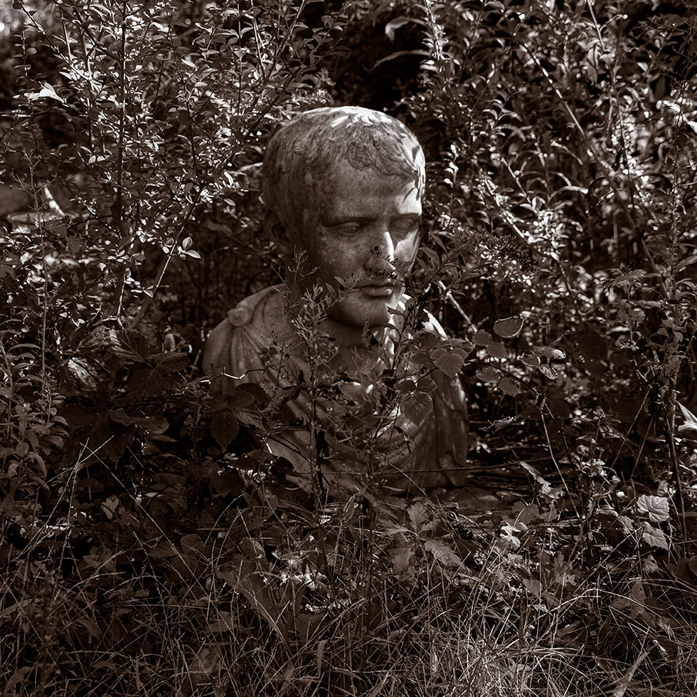 From the series: Gary Beeber: Sylvester Manor