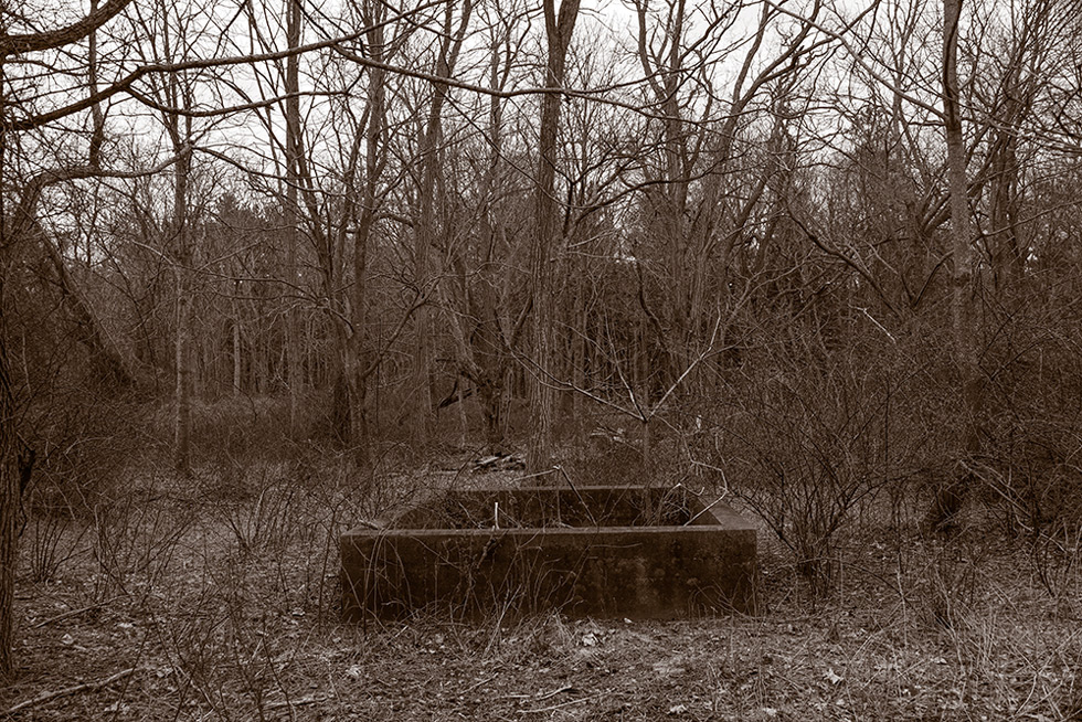 From the series: Gary Beeber: Sylvester Manor