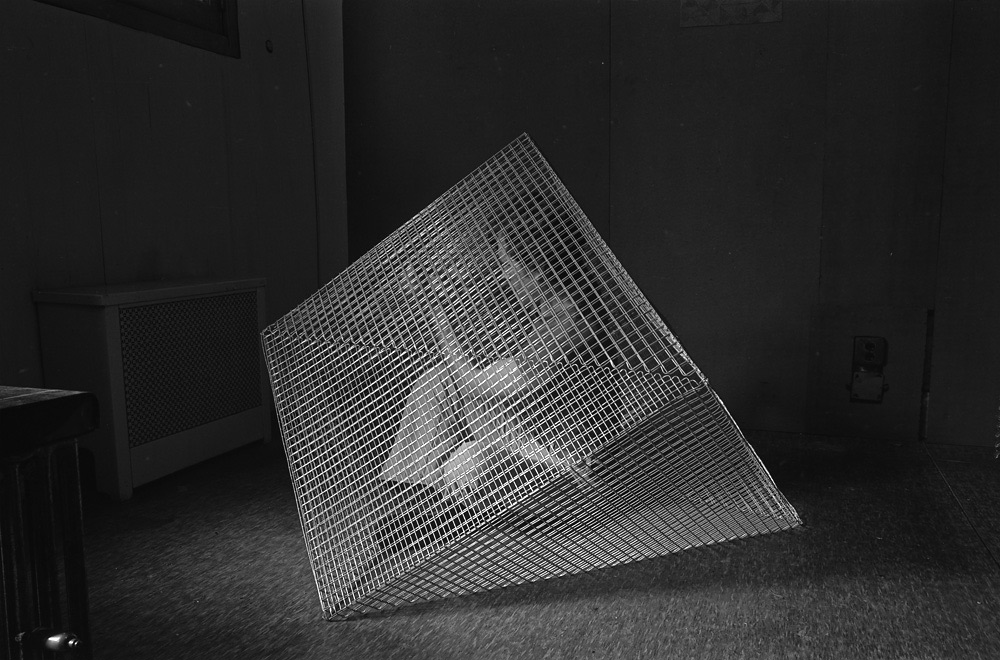 Stephen Foust, CETA sculptor in his studio, 1979, by Blaise TobiaVisit Blaise's website