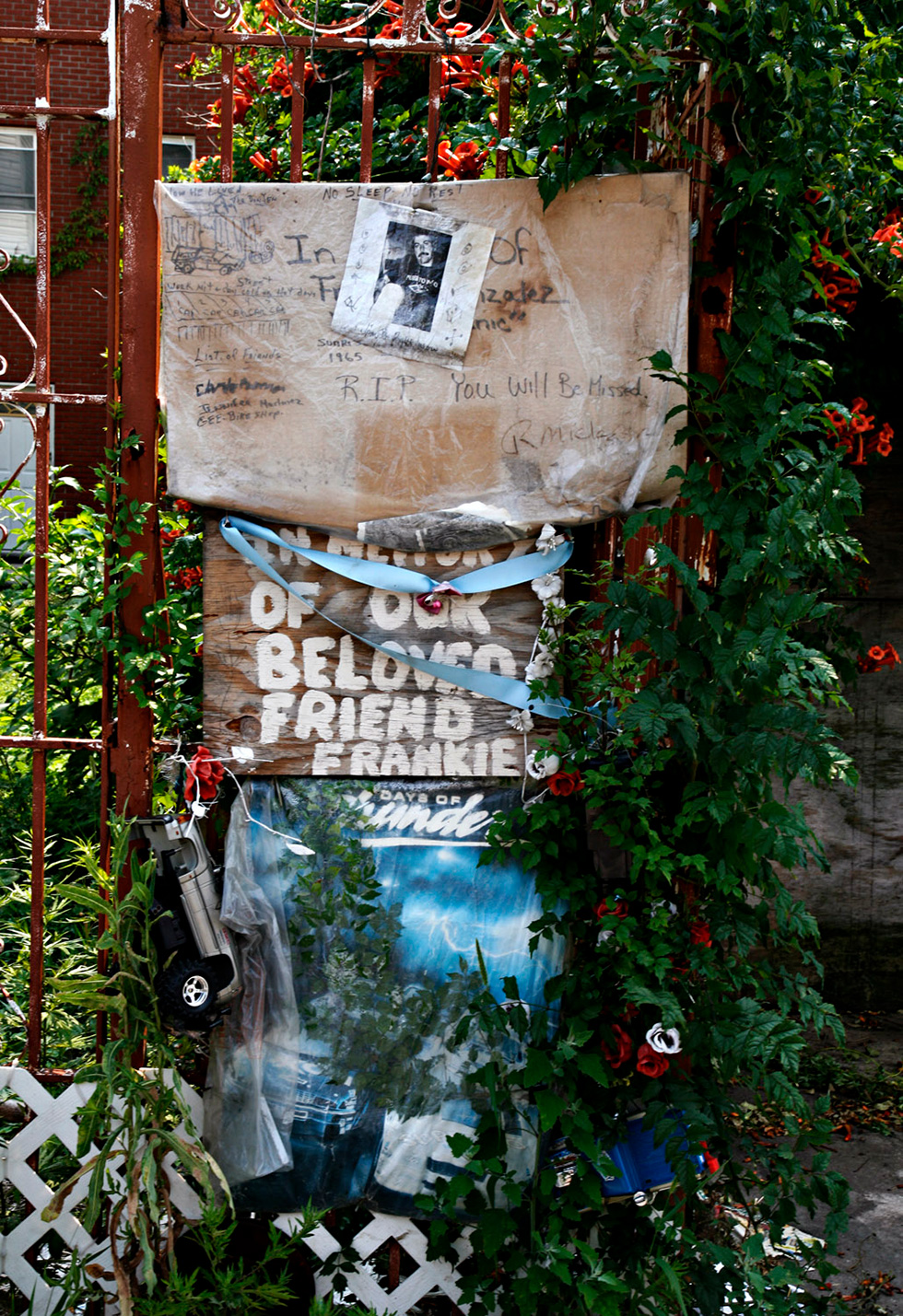 OUR BELOVED FRIEND FRANKIE, Wolcott Street, Brooklyn, 2007