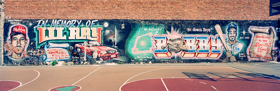 In Memory of Little Ray, Bobby, the Bronx, 2001